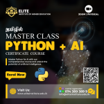 Python Mastery with AI Insight